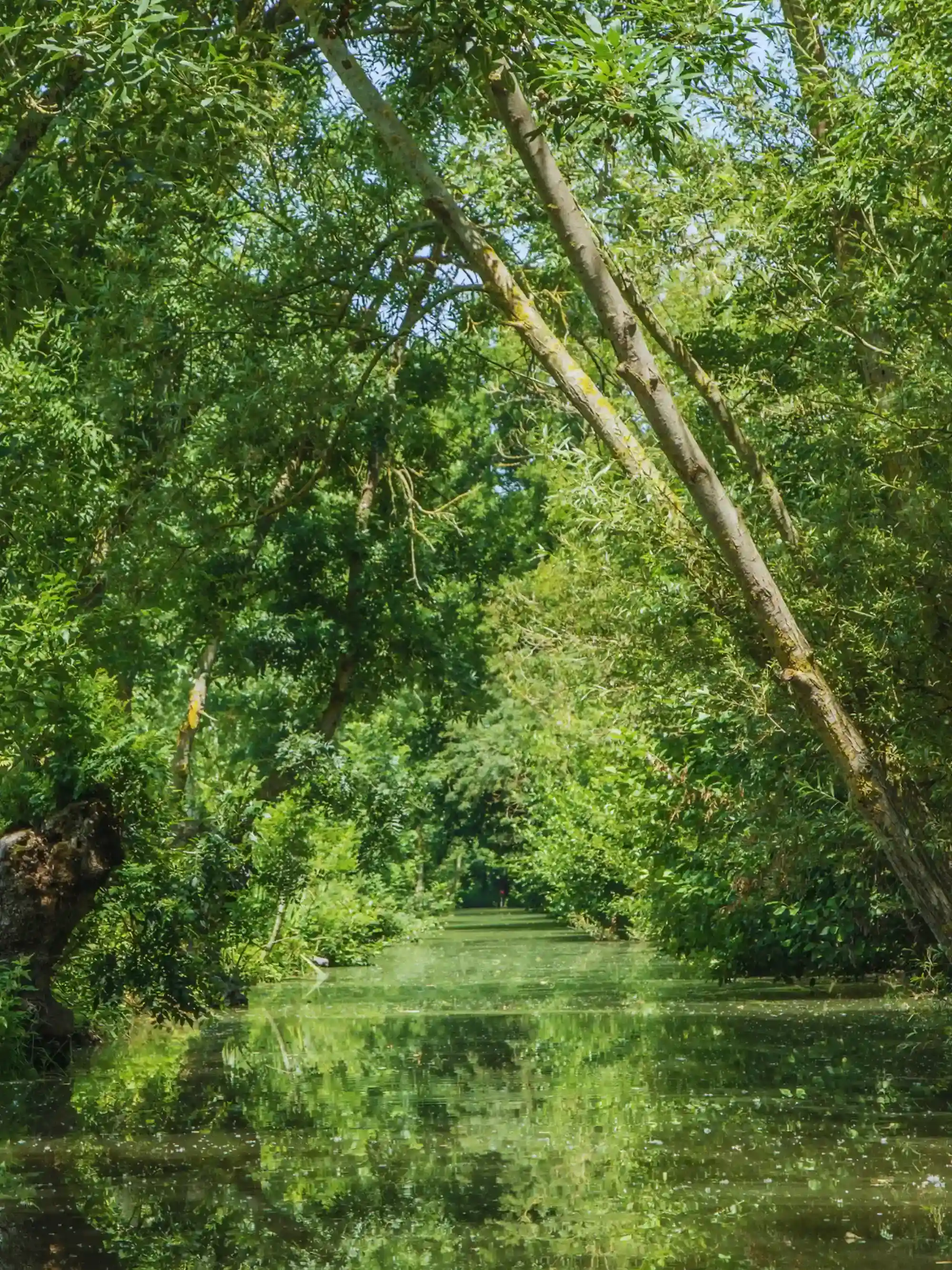 le marais poitevin