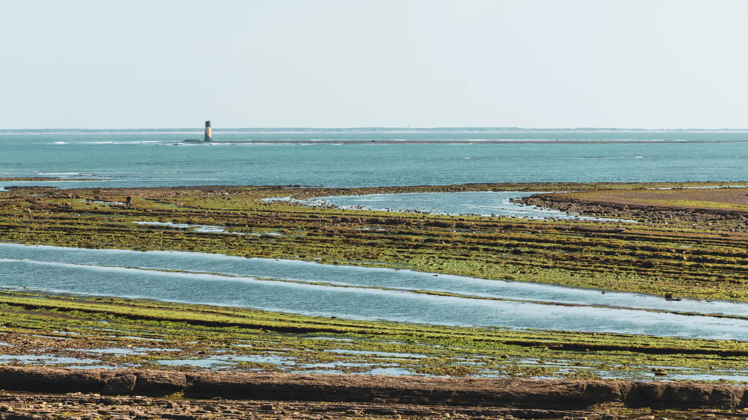 low tide charente maritime