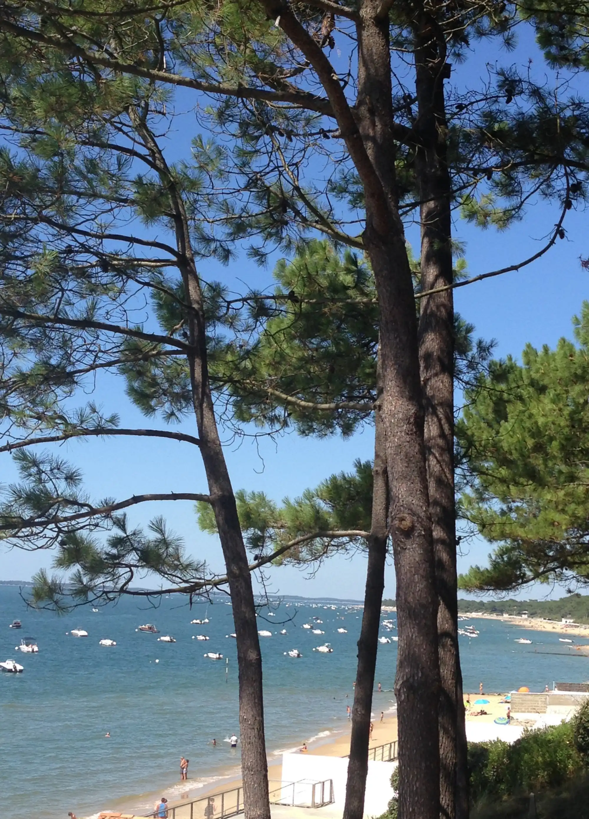 Arcachon